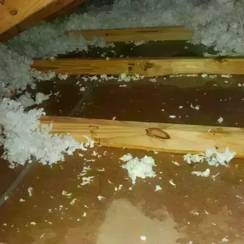 Attic Water Damage in Murphys, CA